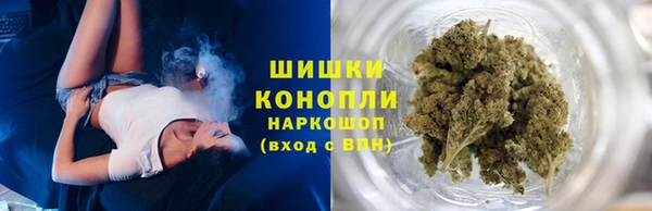 крисы Няндома