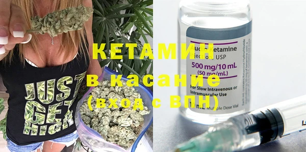 крисы Няндома
