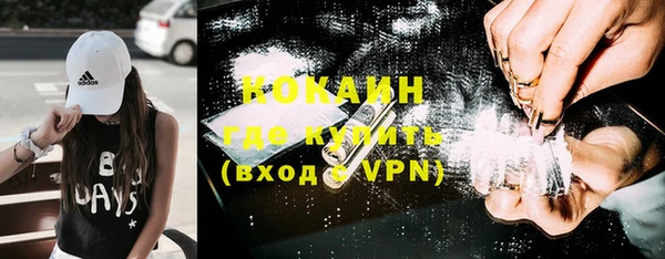 крисы Няндома