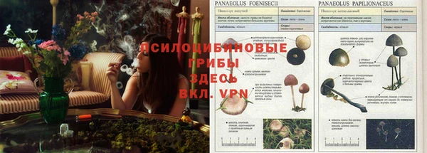 мдма Грязовец