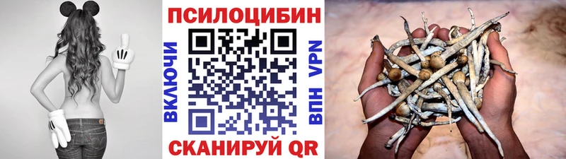 Галлюциногенные грибы MAGIC MUSHROOMS  купить закладку  кракен вход  Россошь 